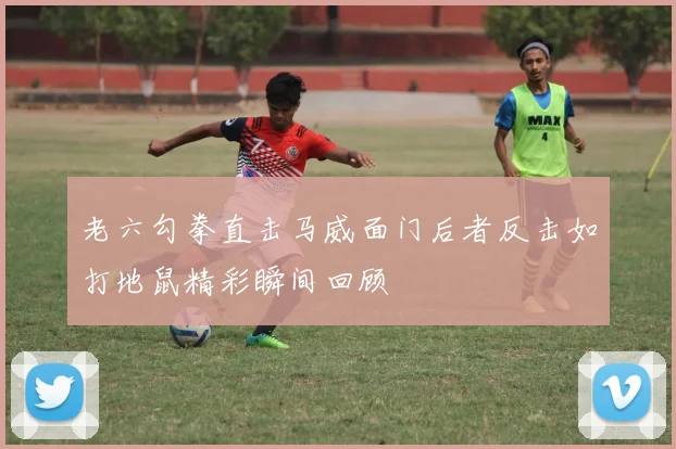 老六勾拳直击马威面门后者反击如打地鼠精彩瞬间回顾