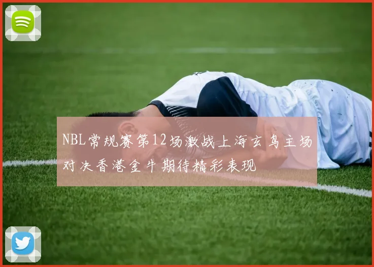 NBL常规赛第12场激战上海玄鸟主场对决香港金牛期待精彩表现