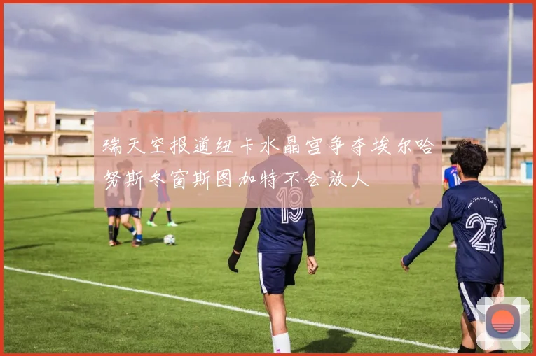 瑞天空报道纽卡水晶宫争夺埃尔哈努斯冬窗斯图加特不会放人
